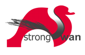 strongSwan Logo