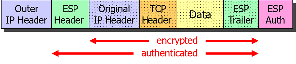 ESP Tunnel Mode Packet